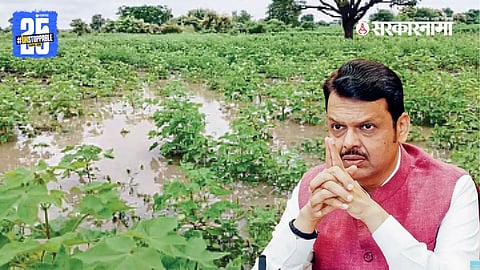 Marathwada farmers await government relief after heavy rains damaged crops.