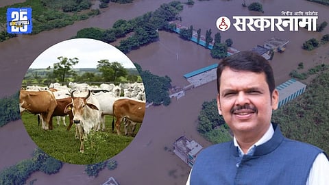 Mahayuti Government farmers Decision