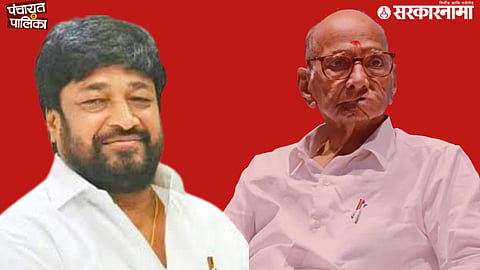 Sharad Pawar NCP Politics