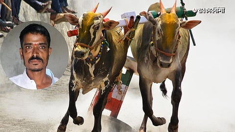 Karandi bullock cart race death:
