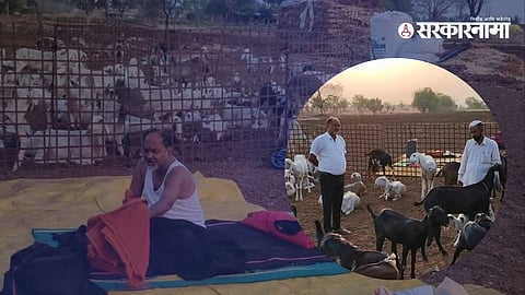 RSP chief Mahadev Jankar interacting with shepherds during his stay at a sheep camp in Pangari village of Satara district.