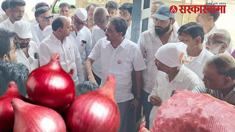 Onion Prices Crash