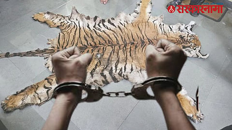 Tiger Skin Smuggling Case