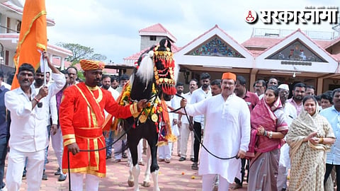 Mohite Patil's Balraj Horse