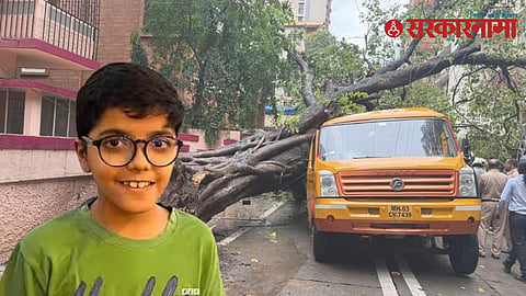 School Bus Tree Fall