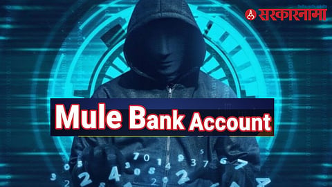 Mule Account