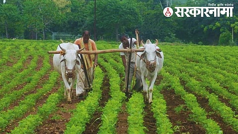 Government Subsidy: अखेर कृषीमंत्री आले जागेवर! कोट्यवधींची शासनाची सबसिडी केली परत; स्वतः सरकारनं दिली माहिती