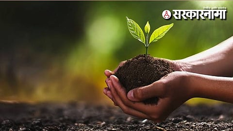 33 Crore Tree Plantation