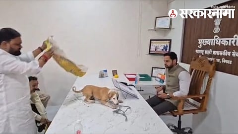 Niphad stray dogs