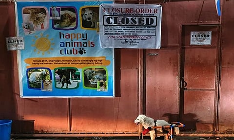 An animal shelter in Davao City is at risk of being permanently closed as its neighbors filed complaint to city government.