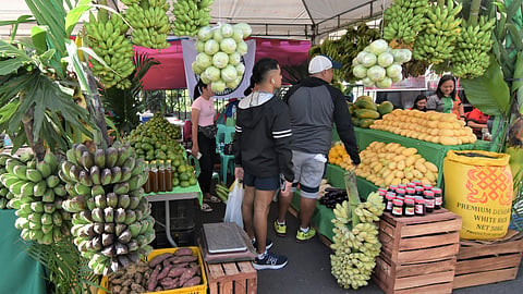The five-day organic festival earned over P2 million in sales.