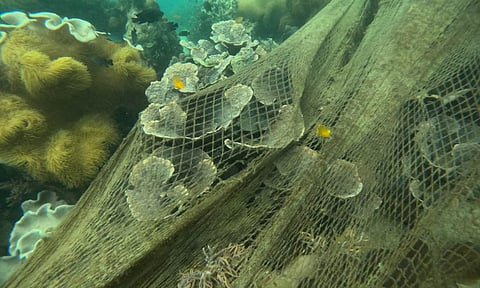RETRIEVAL MISSION. Another ghost net, spanning approximately 100 meters, is retrieved by Davao Gulf Divers (DGD) and Department of Environmental and Natural Resources-Protected Area Management Office (DENR-Pamo) in Punta-North, adjacent to the DGD Marine Park on Kopiat Island. The abandoned net, left by fisherfolks, has led to the destruction of corals and the tragic death of marine creatures. Emphasizing the critical need for educating fishermen about the dangers of abandoning nets in the open ocean.