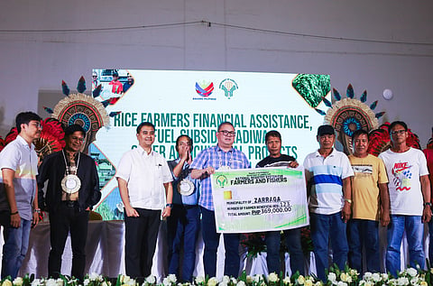 DA distributes P909-M agri-fishery projects in W. Visayas