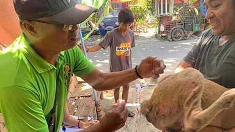 Vaccine sa rabies nagnihit tungod sa pundo