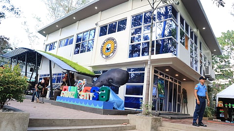 Panaad 2024: Cadiz City sales drop by 46%