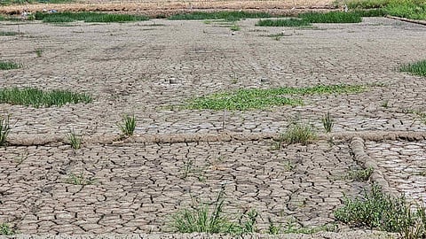 Davao Oriental creates El Niño Task Force
