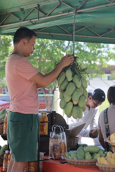 Mango Festival gibaha og tawo