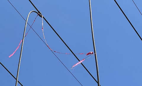 NURTURING A SAFETY CULTURE. Kite entanglement with transmission lines poses a serious safety hazard, especially for children, and can lead to power disruptions due to higher voltage levels.