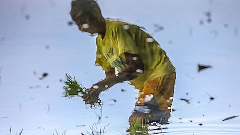NIA mi-turnover sa P66M irrigation projects sa Sugbo