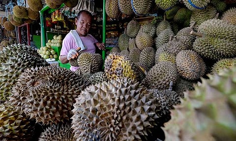 Durian Summit to elevate export quality standards