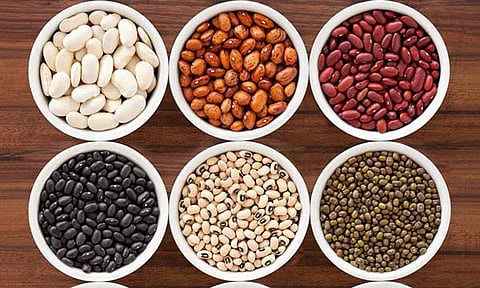 More beans and less red meat: Nutrition experts weigh in on US dietary guidelines
