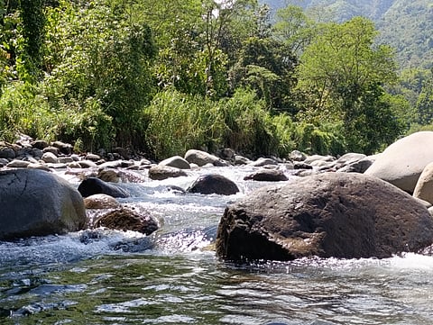 Idis urges stronger watershed protection