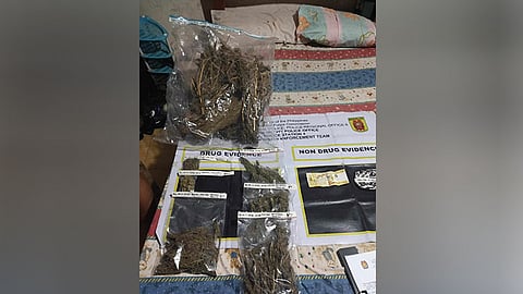 Dried marijuana