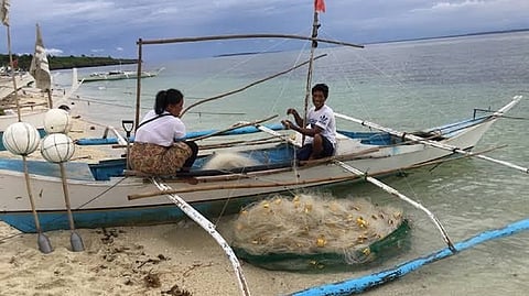 Artisanal fishers at risk after SC's fishing ruling