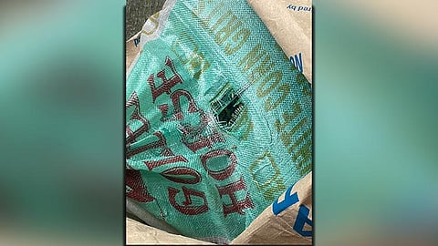 Python found in Pajac home