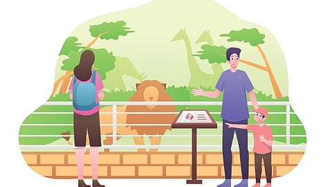 What not to do around wild animals