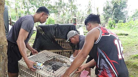 Foundation donates free-range chicken to 45IB