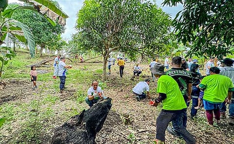 MILESTONE FOR GREENER CEBU. Therma Visayas, Inc. and RAFI’s One to Tree program celebrate the cultivation of 1 million seedlings across 1,250 hectares in Cebu uplands—empowering 701 farmers and restoring ecosystems since 2017.