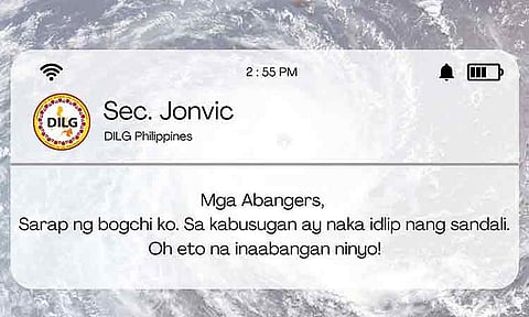 VP to DILG: Be professional
