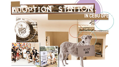 Pet adoption station in Cebu opens permanently