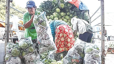 SLOWDOWN. Food inflation nationwide slowed further to 0.3 percent in October from 0.8 percent in September, as prices of vegetables and meat rose at a slower pace. /