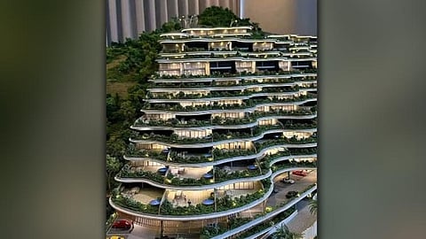 Monterrazas mihimakak nga namutol og 700 ka mga kahoy