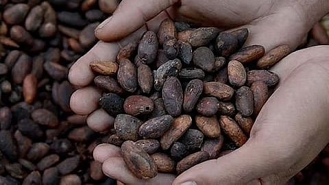 New opportunities emerging in region for sustainable agriculture