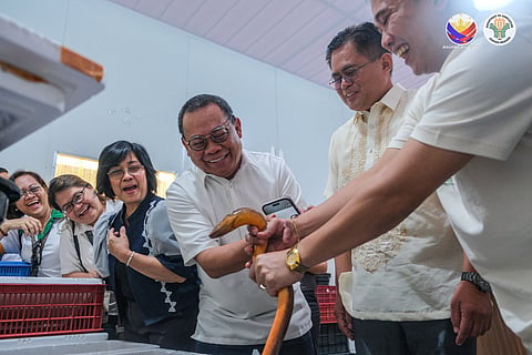 Davao City firm expands China exports with DA, Bfar support amid rising demand