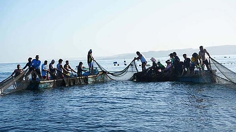 Cebu fishing feeds homes, not markets