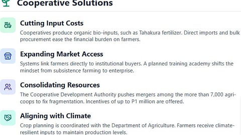 ‘Shield small farmers from economic, climate shocks’