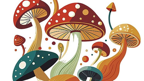 Early study suggests mushrooms help ease period pain