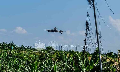 The image displays an agricultural drone flying over a plantation, being used for crop monitoring or precision farming.