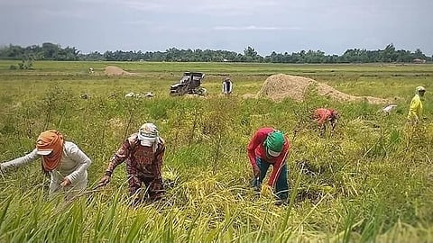 UN urges PH to prepare for El Niño