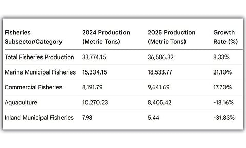 Cebu fish production rises 8.33% in 2025