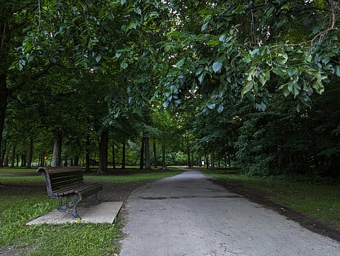 Is Parkmaxxing' possible in Cebu? The hunt for shaded sanctuaries