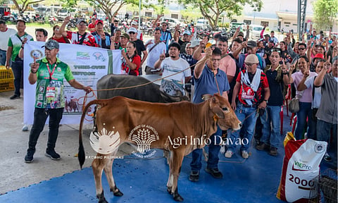 In the aftermath of devastating calamities brought by the shearline and trough of a low-pressure area (LPA), many farmers in Davao del Norte were left struggling with weakened livestock and damaged livelihoods. To help communities recover, the Department of Agriculture (DA) XI extended P16 million worth of livestock and poultry assistance to hundreds of affected farmer-beneficiaries in the province.