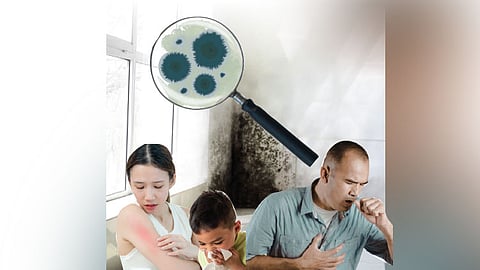 What you should know about mold in summer: Simple ways to prevent it
