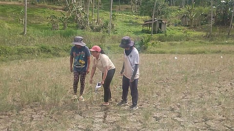 Are we ready? Cebu City leaders raise alarm over stalled drought projects as El Niño looms