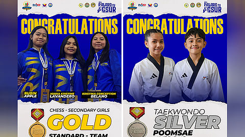 Cebuano athletes win medals in 2026 Palarong Pambansa chess, taekwondo events