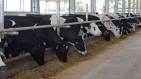 Billions flow into agribusiness